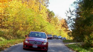 Fall_Leaf_2010_pic_5